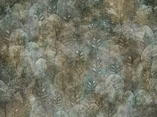 Grafika WallCraft Iberis 410 34 2101