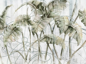 Grafika WallCraft Monstera 595 31 2201