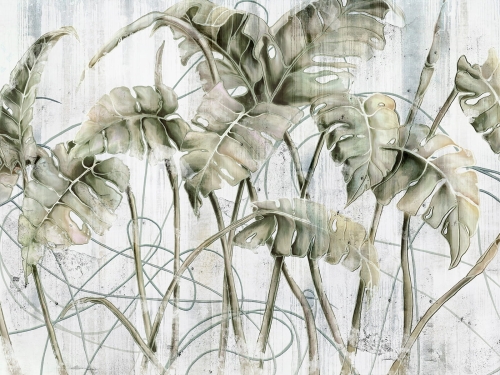 Monstera Art. 595 31 2201.jpg