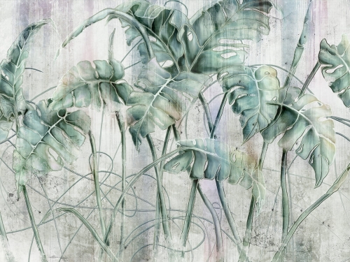 Monstera Art. 595 32 2201.jpg