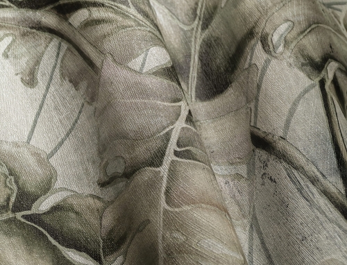 Monstera tekstura.jpg