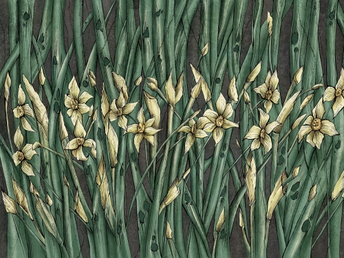 Narcise Art. 445 32 2102.jpg
