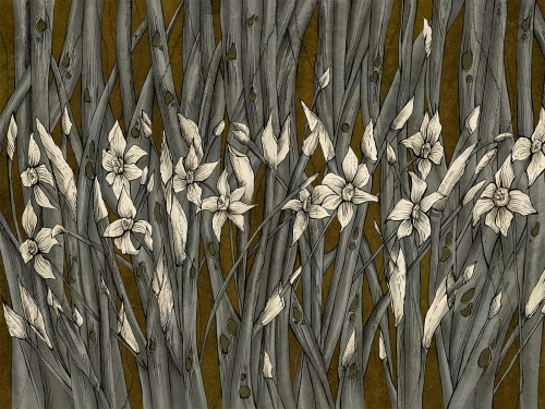 Narcise Art. 445 33 2102.jpg
