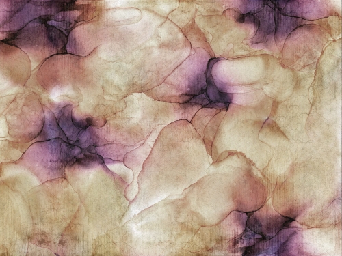 Netes Art. 370 31 2101.jpg