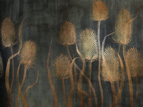 Tenebri Art. 420 34 2101.jpg