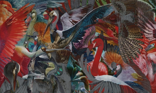 Różnorodne-kolorowe-ptaki-w-dynamicznej-kompozycji-na-tapecie-Wonderwall-Accent.jpg