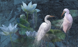 Tapeta Wonderwall Bianco 35 0486 03