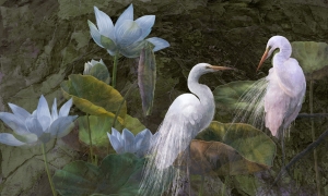 Tapeta Wonderwall Bianco 35 0486 08