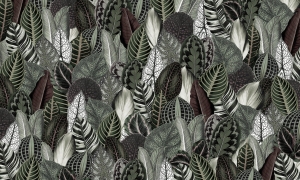 Tapeta Wonderwall Botanica 35 0504 01