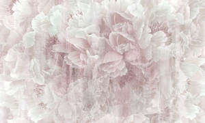 Tapeta Wonderwall Celine 35 0708 05