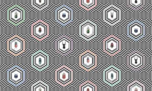 grafika-Wonderwall-Coleoptera-35-0505-02-geometryczny-wzór.jpg