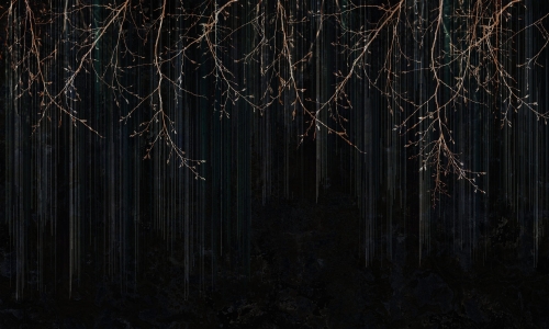 Diadema 35 0428 01.jpg