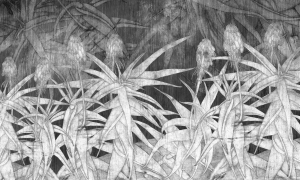 Tapeta Wonderwall Estrella 35 0783 01