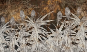 Tapeta Wonderwall Estrella 35 0783 04