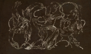 Tapeta  Wonderwall Felis 35 0487 05