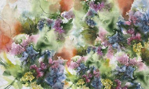 Limonium 35 0756 05.jpg
