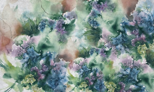 Limonium 35 0756 07.jpg