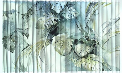 Monstera 35 0709 08.jpg