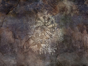 Tapeta Wonderwall Nautilus 34 0415 04