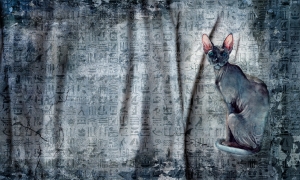 Tapeta  Wonderwall Raquel 35 0452 07