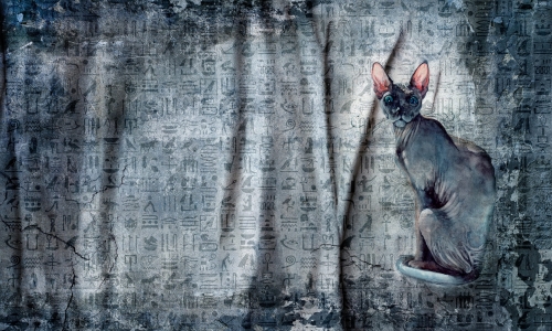 wonderwall-tapeta-raquel-kot-na-hieroglifach.jpg