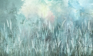 Tapeta Wonderwall Sauvage 35 0441 01