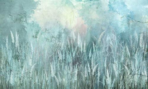 Sauvage  35 0441 01.jpg