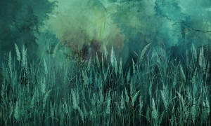 Tapeta Wonderwall Sauvage 35 0441 03