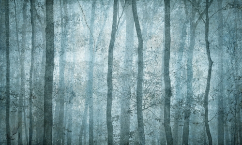 Shadow 35 0439 03.jpg