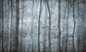 Tapeta Wonderwall Shadow 35 0439 07