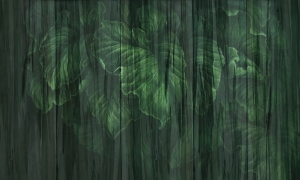 Tapeta Wonderwall Valan 35 0705 08