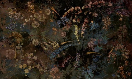 Volare 35 0712 00.jpg