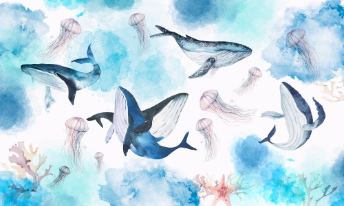 Whales 35 0828 03.jpg