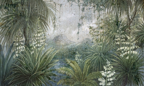 Yucca 35 0495 00.jpg