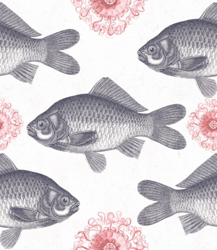 MINDTHEGAP Fish Neutral WP20008