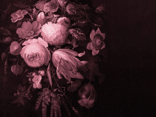 Boudoir Pink 400x300cm.jpg