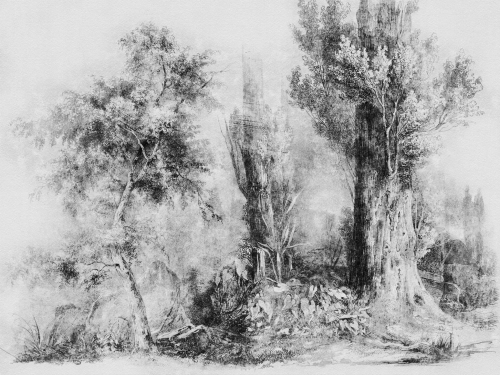 Calm B_W 400x300cm.jpg
