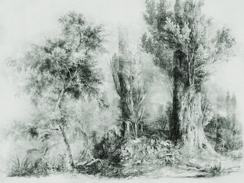 Calm Green 400x300cm.jpg