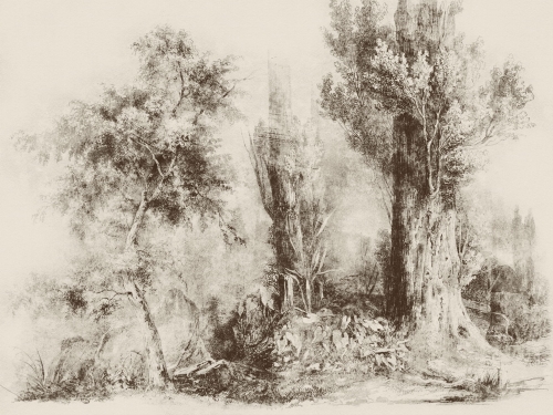 wall-art-calm-beige-bezowa-tapeta-las-drzewa-sepia.jpg