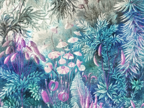 Fairytale Blue 400x300cm.jpg