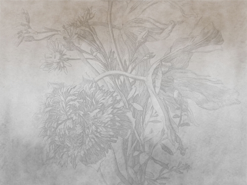 Grey Ombre Flower 400x300cm.jpg