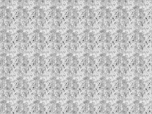 Liseron 400x300cm.jpg