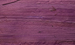 Tapeta dekoracyjna Arte Fuga 90004