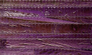 Tapeta dekoracyjna Arte Calayan 90023
