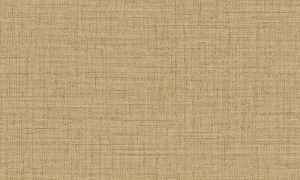 Tapeta dekoracyjna Arte Puro 27007