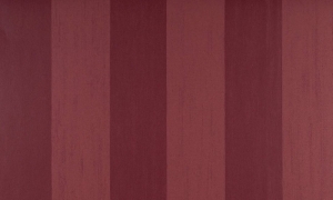 Tapeta dekoracyjna Arte Stripe 30014