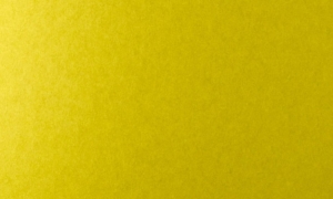 Tapeta dekoracyjna Arte Tints 20521