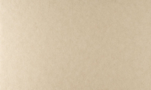 Tapeta dekoracyjna Arte Tints 20523