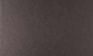 Tapeta dekoracyjna Arte Tints 20527