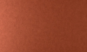 Tapeta dekoracyjna Arte Tints 20529